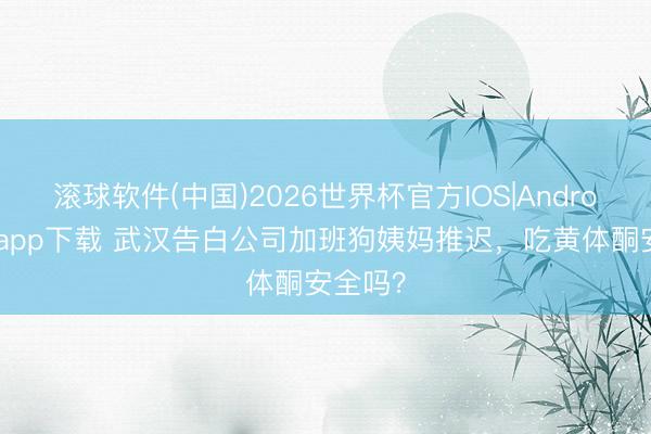 滚球软件(中国)2026世界杯官方IOS|Android手机app下载 武汉告白公司加班狗姨妈推迟，吃黄体酮安全吗？