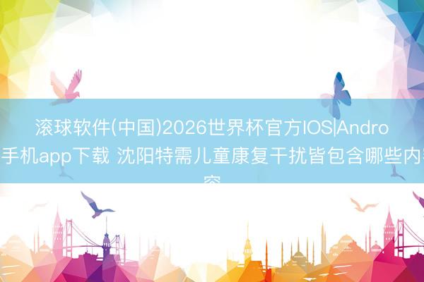 滚球软件(中国)2026世界杯官方IOS|Android手机app下载 沈阳特需儿童康复干扰皆包含哪些内容