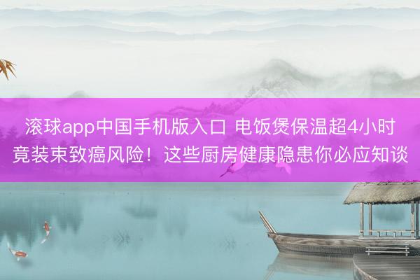 滚球app中国手机版入口 电饭煲保温超4小时竟装束致癌风险!这些厨房健康隐患你必应知谈