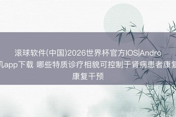 滚球软件(中国)2026世界杯官方IOS|Android手机app下载 哪些特质诊疗相貌可控制于肾病患者康复干预