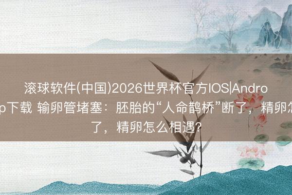 滚球软件(中国)2026世界杯官方IOS|Android手机app下载 输卵管堵塞：胚胎的“人命鹊桥”断了，精卵怎么相遇？