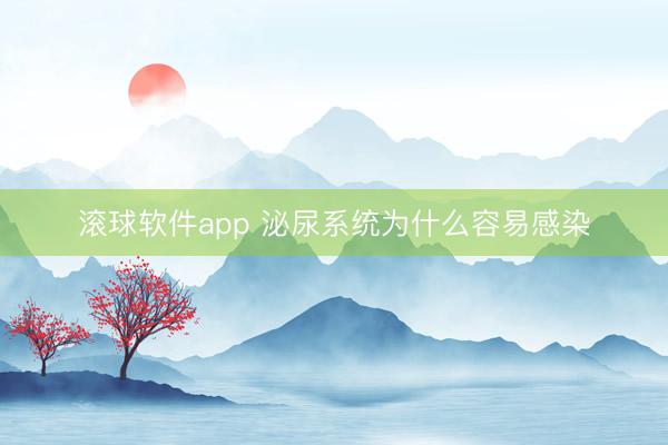 滚球软件app 泌尿系统为什么容易感染
