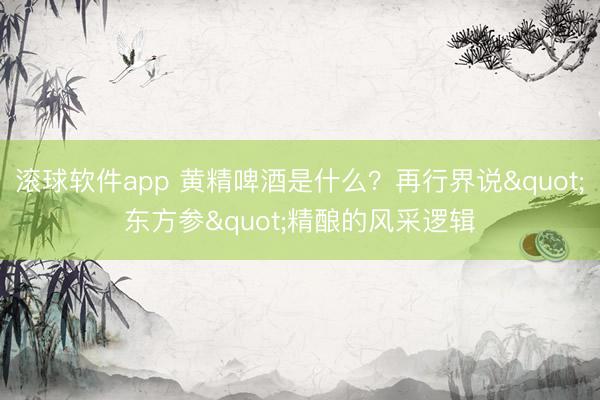 滚球软件app 黄精啤酒是什么？再行界说"东方参"精酿的风采逻辑