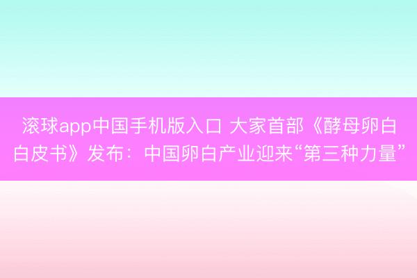 滚球app中国手机版入口 大家首部《酵母卵白白皮书》发布：中国卵白产业迎来“第三种力量”