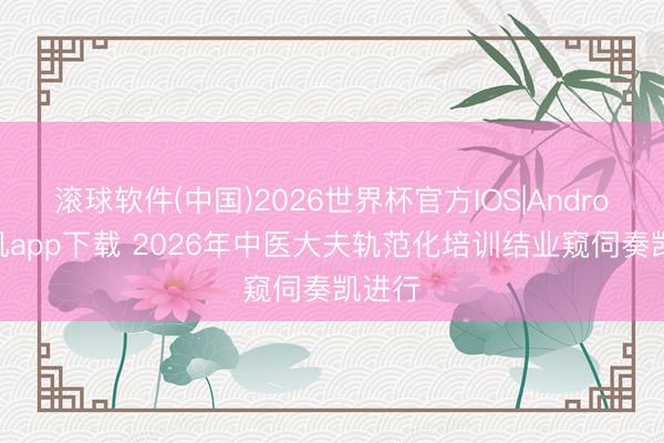 滚球软件(中国)2026世界杯官方IOS|Android手机app下载 2026年中医大夫轨范化培训结业窥伺奏凯进行