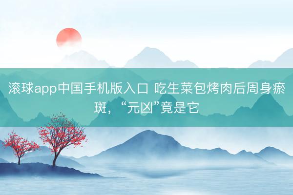 滚球app中国手机版入口 吃生菜包烤肉后周身瘀斑，“元凶”竟是它