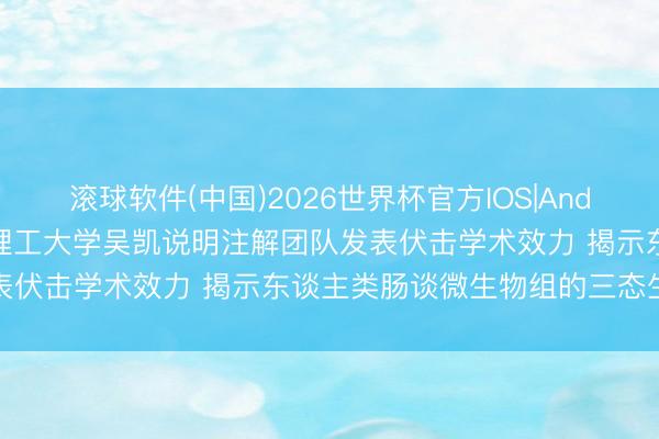滚球软件(中国)2026世界杯官方IOS|Android手机app下载 华南理工大学吴凯说明注解团队发表伏击学术效力 揭示东谈主类肠谈微生物组的三态生态礼貌