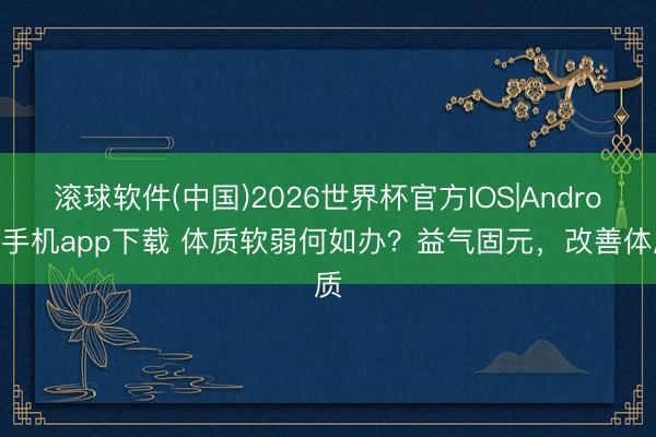 滚球软件(中国)2026世界杯官方IOS|Android手机app下载 体质软弱何如办？益气固元，改善体质