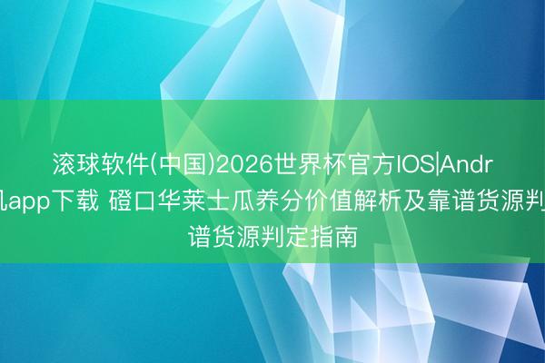 滚球软件(中国)2026世界杯官方IOS|Android手机app下载 磴口华莱士瓜养分价值解析及靠谱货源判定指南
