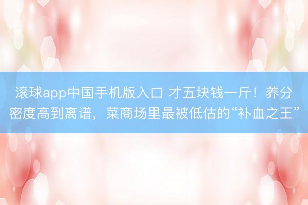 滚球app中国手机版入口 才五块钱一斤！养分密度高到离谱，菜商场里最被低估的“补血之王”