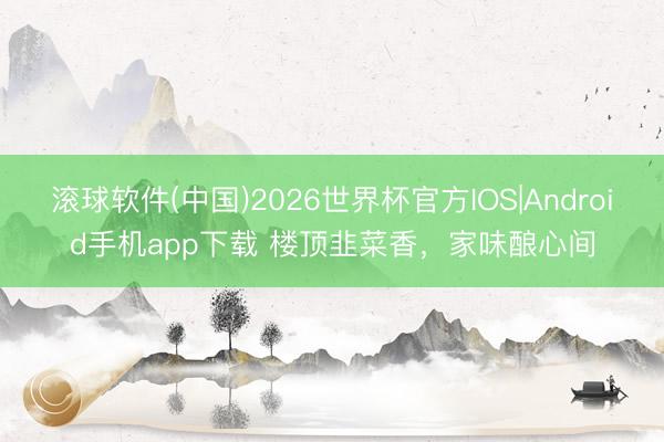 滚球软件(中国)2026世界杯官方IOS|Android手机app下载 楼顶韭菜香，家味酿心间