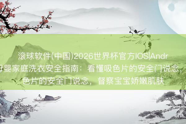 滚球软件(中国)2026世界杯官方IOS|Android手机app下载 母婴家庭洗衣安全指南：看懂吸色片的安全门说念，督察宝宝娇嫩肌肤