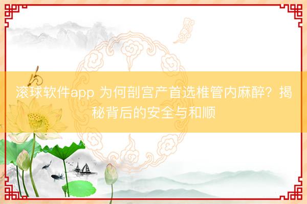 滚球软件app 为何剖宫产首选椎管内麻醉？揭秘背后的安全与和顺