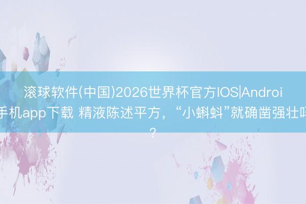 滚球软件(中国)2026世界杯官方IOS|Android手机app下载 精液陈述平方，“小蝌蚪”就确凿强壮吗？