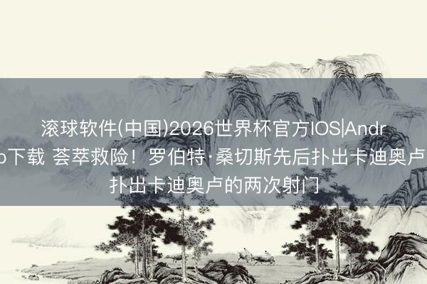 滚球软件(中国)2026世界杯官方IOS|Android手机app下载 荟萃救险！罗伯特·桑切斯先后扑出卡迪奥卢的两次射门