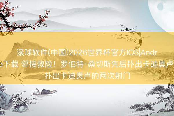 滚球软件(中国)2026世界杯官方IOS|Android手机app下载 邻接救险！罗伯特·桑切斯先后扑出卡迪奥卢的两次射门