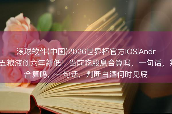 滚球软件(中国)2026世界杯官方IOS|Android手机app下载 五粮液创六年新低！当前吃股息合算吗，一句话，判断白酒何时见底