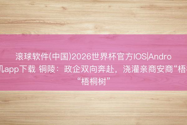 滚球软件(中国)2026世界杯官方IOS|Android手机app下载 铜陵：政企双向奔赴，浇灌亲商安商“梧桐树”
