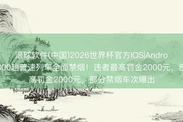 滚球软件(中国)2026世界杯官方IOS|Android手机app下载 300趟普速列车全面禁烟！违者最高罚金2000元，部分禁烟车次曝出