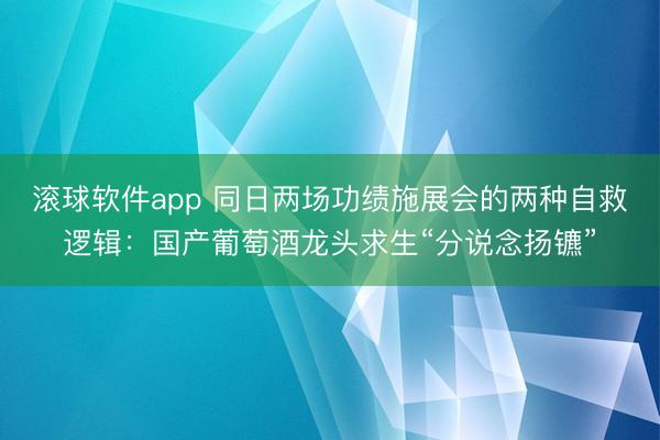 滚球软件app 同日两场功绩施展会的两种自救逻辑：国产葡萄酒龙头求生“分说念扬镳”