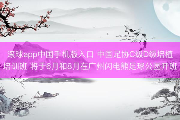 滚球app中国手机版入口 中国足协C级D级培植培训班 将于6月和8月在广州闪电熊足球公园开班