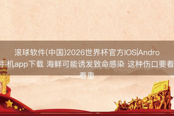 滚球软件(中国)2026世界杯官方IOS|Android手机app下载 海鲜可能诱发致命感染 这种伤口要着重