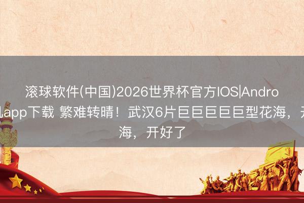 滚球软件(中国)2026世界杯官方IOS|Android手机app下载 繁难转晴！武汉6片巨巨巨巨巨型花海，开好了