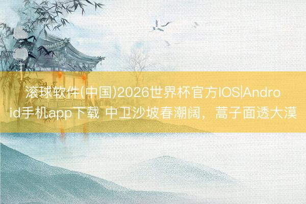 滚球软件(中国)2026世界杯官方IOS|Android手机app下载 中卫沙坡春潮阔，蒿子面透大漠