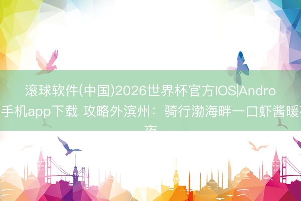 滚球软件(中国)2026世界杯官方IOS|Android手机app下载 攻略外滨州：骑行渤海畔一口虾酱暖夜