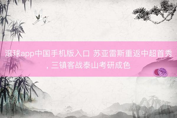 滚球app中国手机版入口 苏亚雷斯重返中超首秀， 三镇客战泰山考研成色