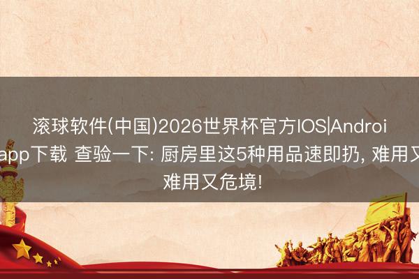 滚球软件(中国)2026世界杯官方IOS|Android手机app下载 查验一下: 