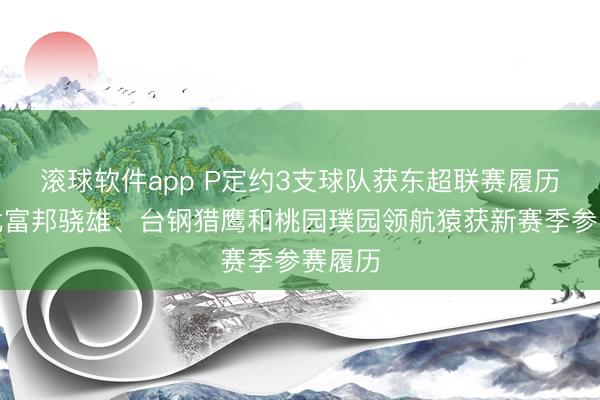 滚球软件app P定约3支球队获东超联赛履历！台北富邦骁雄、台钢猎鹰和桃园璞园领航猿获新赛季参赛履历