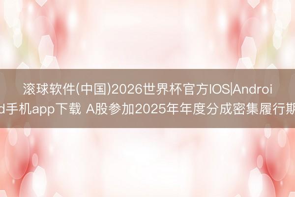 滚球软件(中国)2026世界杯官方IOS|Android手机app下载 A股参加2025年年度分成密集履行期