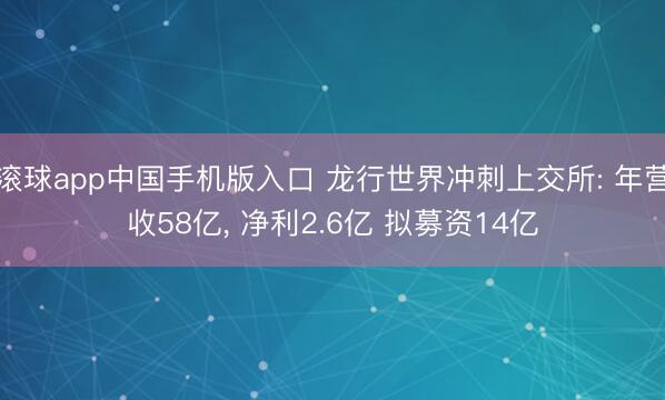 滚球app中国手机版入口 龙行世界冲刺上交所: 年营收58亿， 净利2.6亿 拟募资14亿