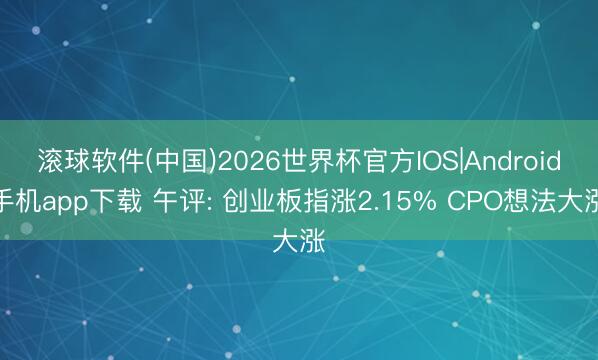 滚球软件(中国)2026世界杯官方IOS|Android手机app下载 午评: 创业板指涨2.15% CPO想法大涨