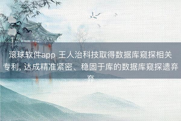 滚球软件app 王人治科技取得数据库窥探相关专利, 达成精准紧密、稳固于库的数据库窥探遗弃