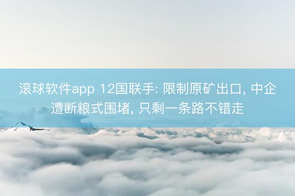 滚球软件app 12国联手: 限制原矿出口， 中企遭断粮式围堵， 只剩一条路不错走
