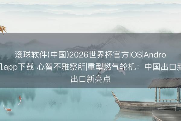 滚球软件(中国)2026世界杯官方IOS|Android手机app下载 心智不雅察所|重型燃气轮机：中国出口新亮点