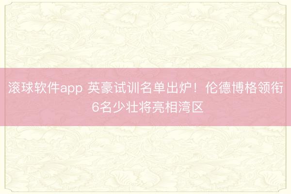 滚球软件app 英豪试训名单出炉!伦德博格领衔 6名少壮将亮相湾区