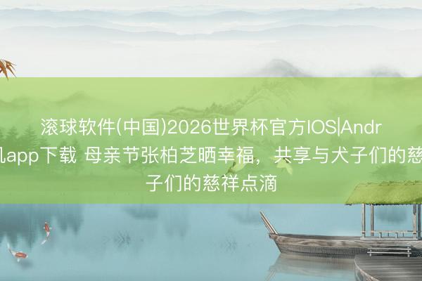 滚球软件(中国)2026世界杯官方IOS|Android手机app下载 母亲节张柏芝晒幸福，共享与犬子们的慈祥点滴