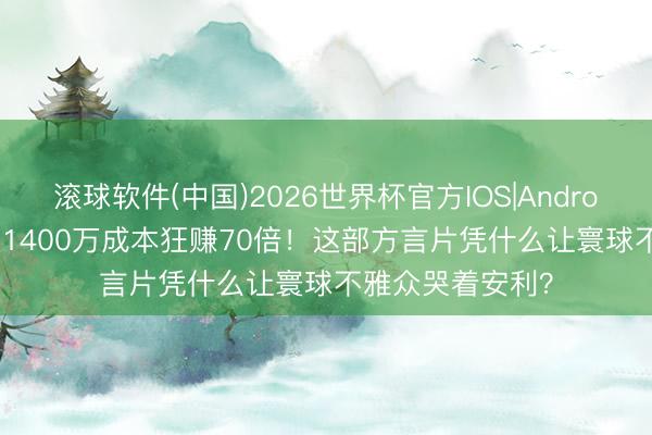 滚球软件(中国)2026世界杯官方IOS|Android手机app下载 1400万成本狂赚70倍！这部方言片凭什么让寰球不雅众哭着安利？