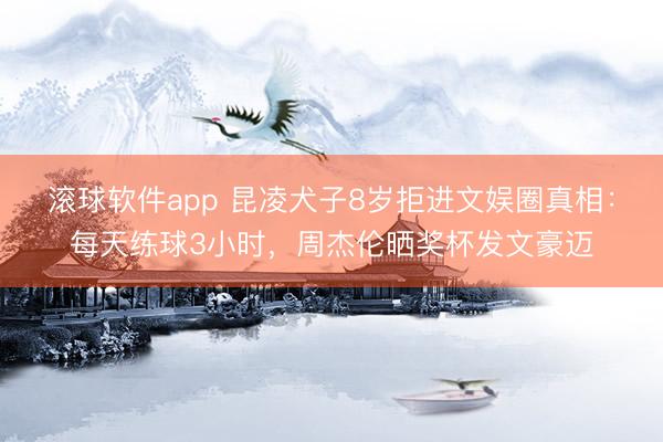 滚球软件app 昆凌犬子8岁拒进文娱圈真相:每天练球3小时,周杰伦晒奖杯发文豪迈