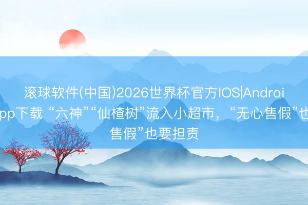 滚球软件(中国)2026世界杯官方IOS|Android手机app下载 “六神”“仙楂树”流入小超市，“无心售假”也要担责