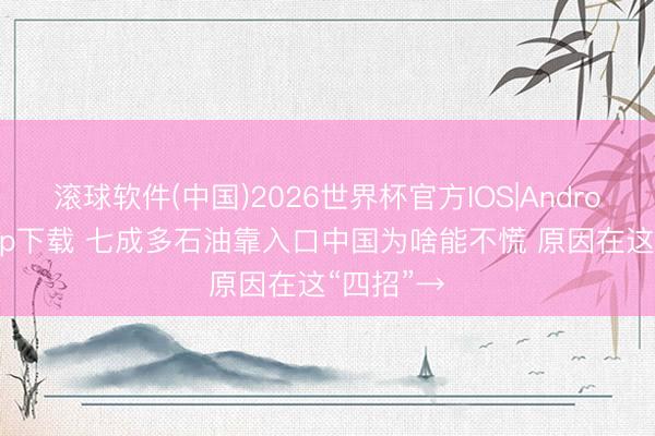 滚球软件(中国)2026世界杯官方IOS|Android手机app下载 七成多石油靠入口中国为啥能不慌 原因在这“四招”→