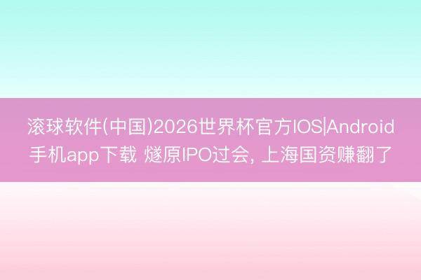 滚球软件(中国)2026世界杯官方IOS|Android手机app下载 燧原IPO过会， 上海国资赚翻了