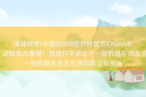 滚球软件(中国)2026世界杯官方IOS|Android手机app下载 逆转肌肉萎缩！我国科学家在可一稔机器东说念主鸿沟赢得新发扬