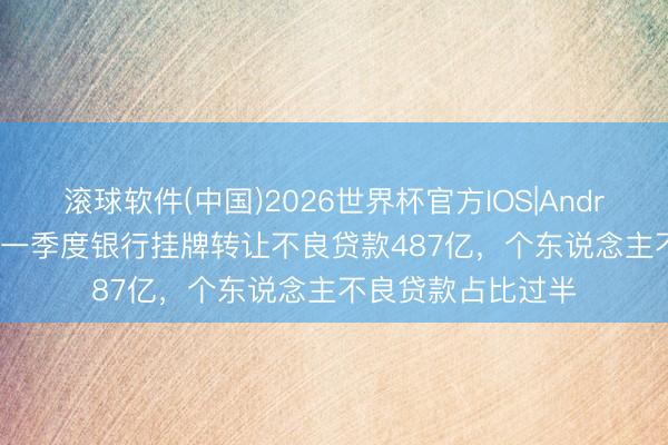 滚球软件(中国)2026世界杯官方IOS|Android手机app下载 一季度银行挂牌转让不良贷款487亿，个东说念主不良贷款占比过半