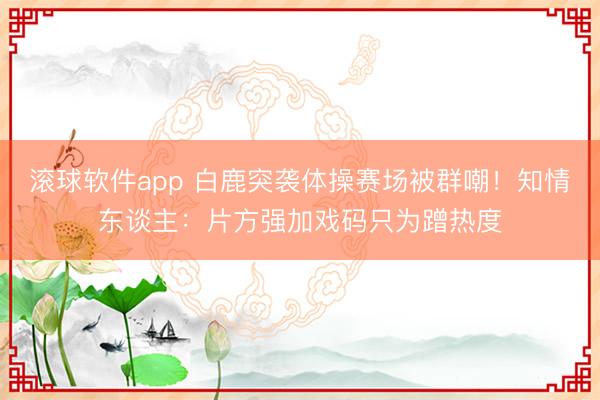 滚球软件app 白鹿突袭体操赛场被群嘲！知情东谈主：片方强加戏码只为蹭热度