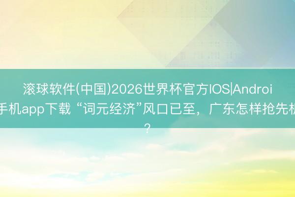 滚球软件(中国)2026世界杯官方IOS|Android手机app下载 “词元经济”风口已至，广东怎样抢先机？