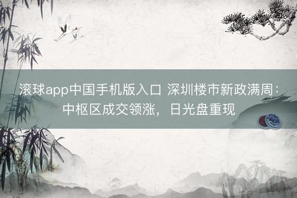 滚球app中国手机版入口 深圳楼市新政满周：中枢区成交领涨，日光盘重现